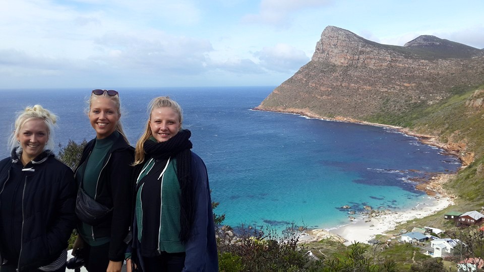 Wild ostriches roaming near the coast on the Cape Peninsula
