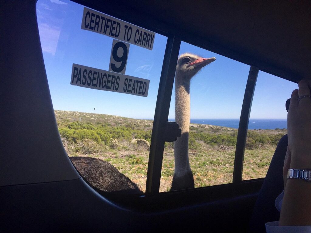 Tour vehicle parked near Cape Point